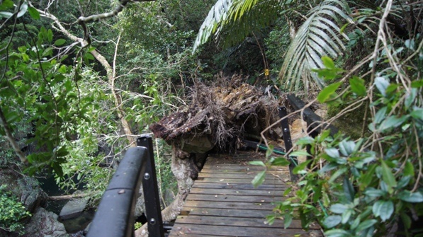 destroyed bridge on the hike