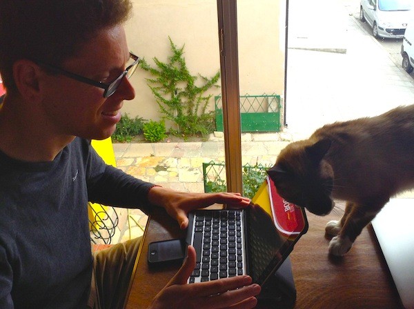 Working at a laptop with a cat trying to interrupt