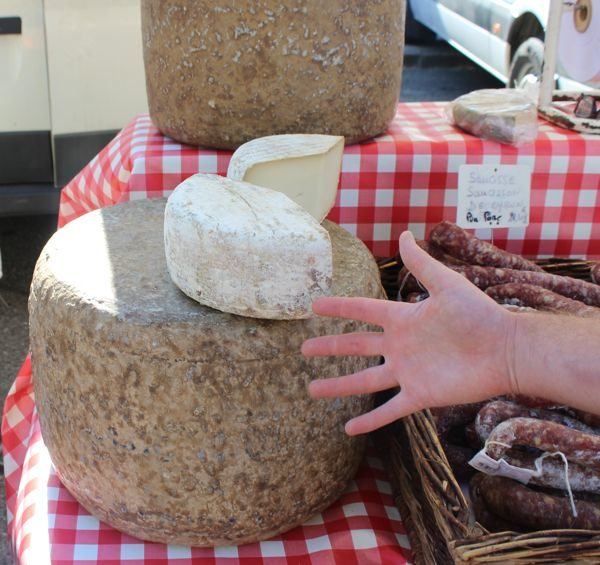 Huge wheel of Cheese