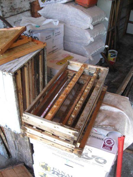bee keeping stuff