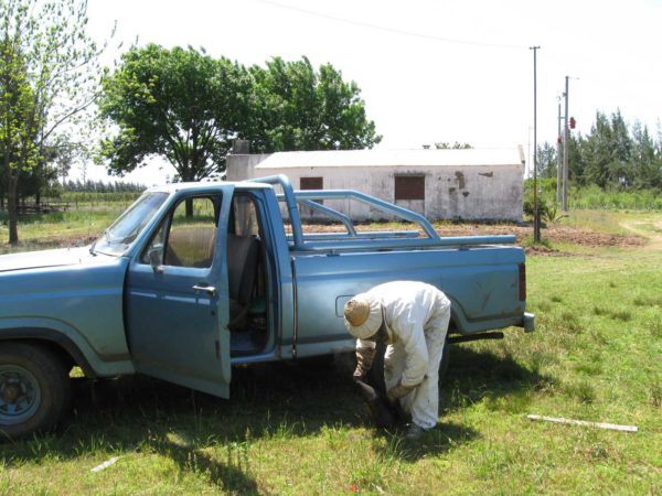 Alcides the beekeeper in Argentina