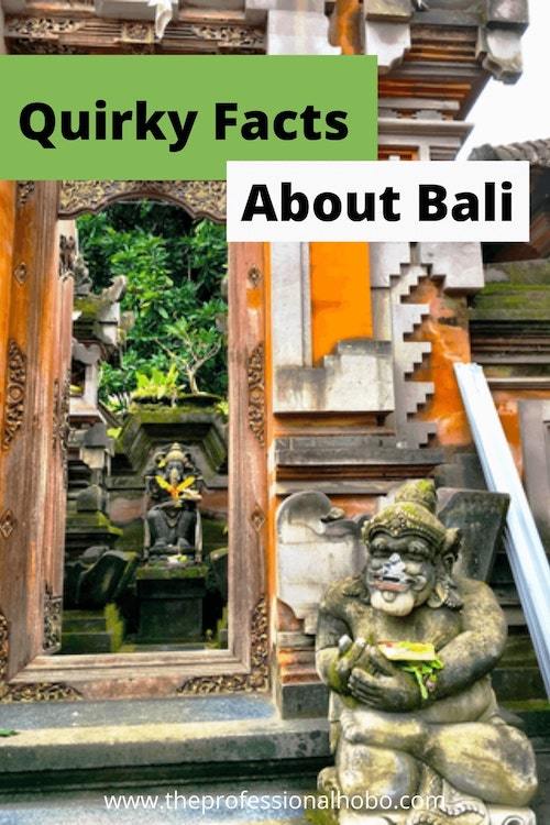 Here are some random facts and observations about Bali that you might not uncover in your research! #Bali #Indonesia #Traveltips #Balitravel #Ubud #TheProfessionalHobo 