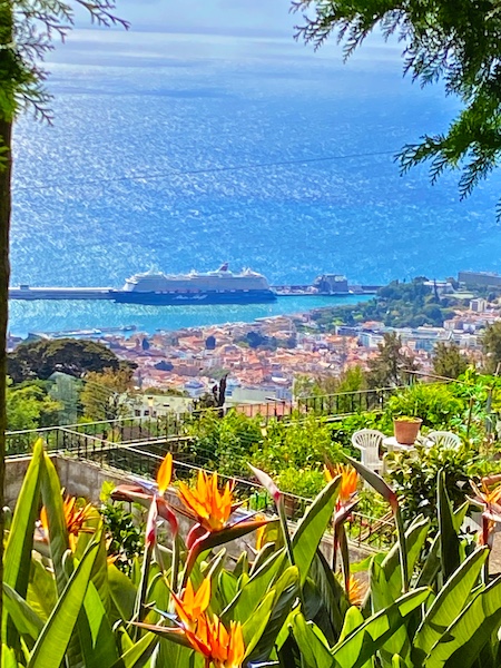 Funchal Madeira with a cruise ship in port