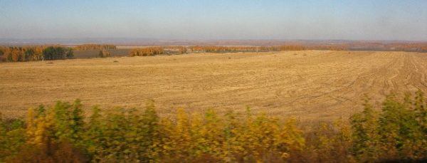 autumn colours
