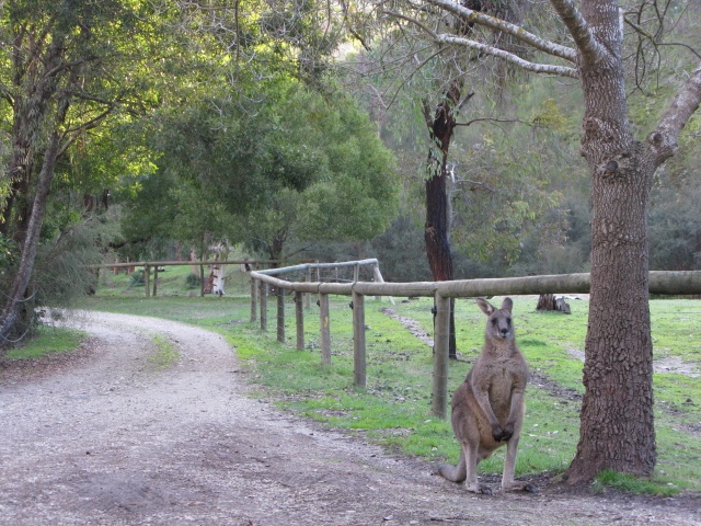 Australia