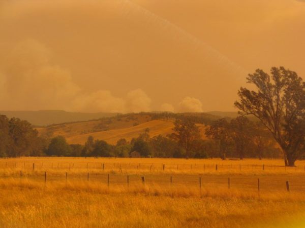 gone walkabout in Australia 