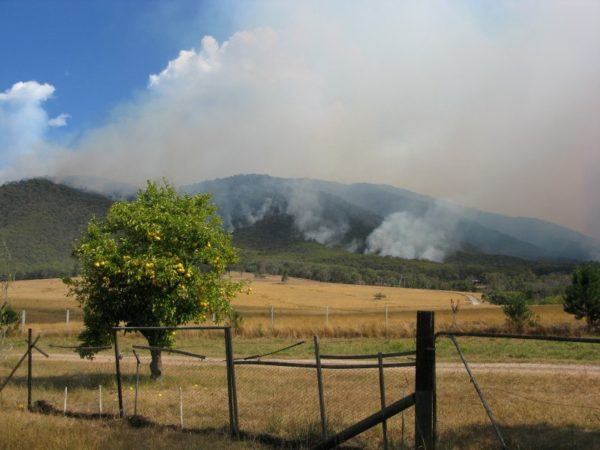 My smoky back yard during the Australian bush fire diary