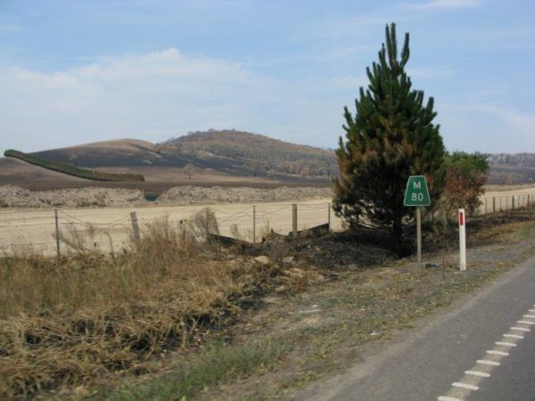 Scorched land beside the road in Australia; bush fire diary