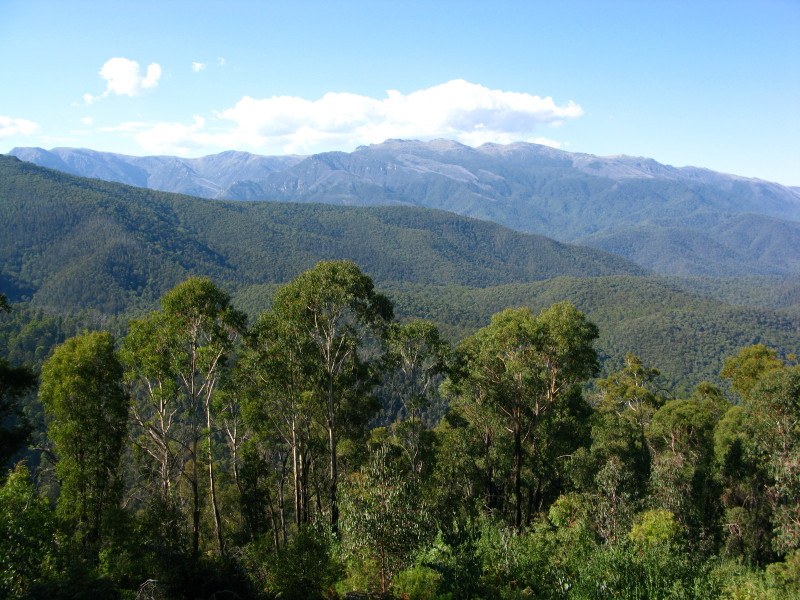 Mount Kosciusko