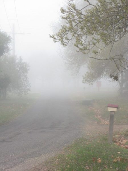 thick winter fog in rural Victoria