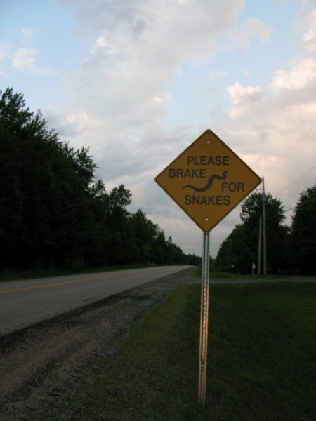 Please Brake for Snakes sign