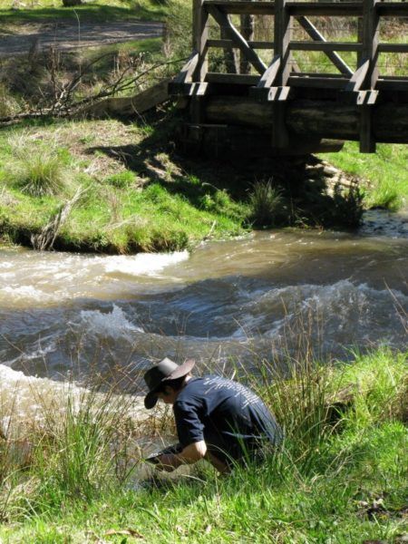 panning for gold at Woods Point on the Golbourn river