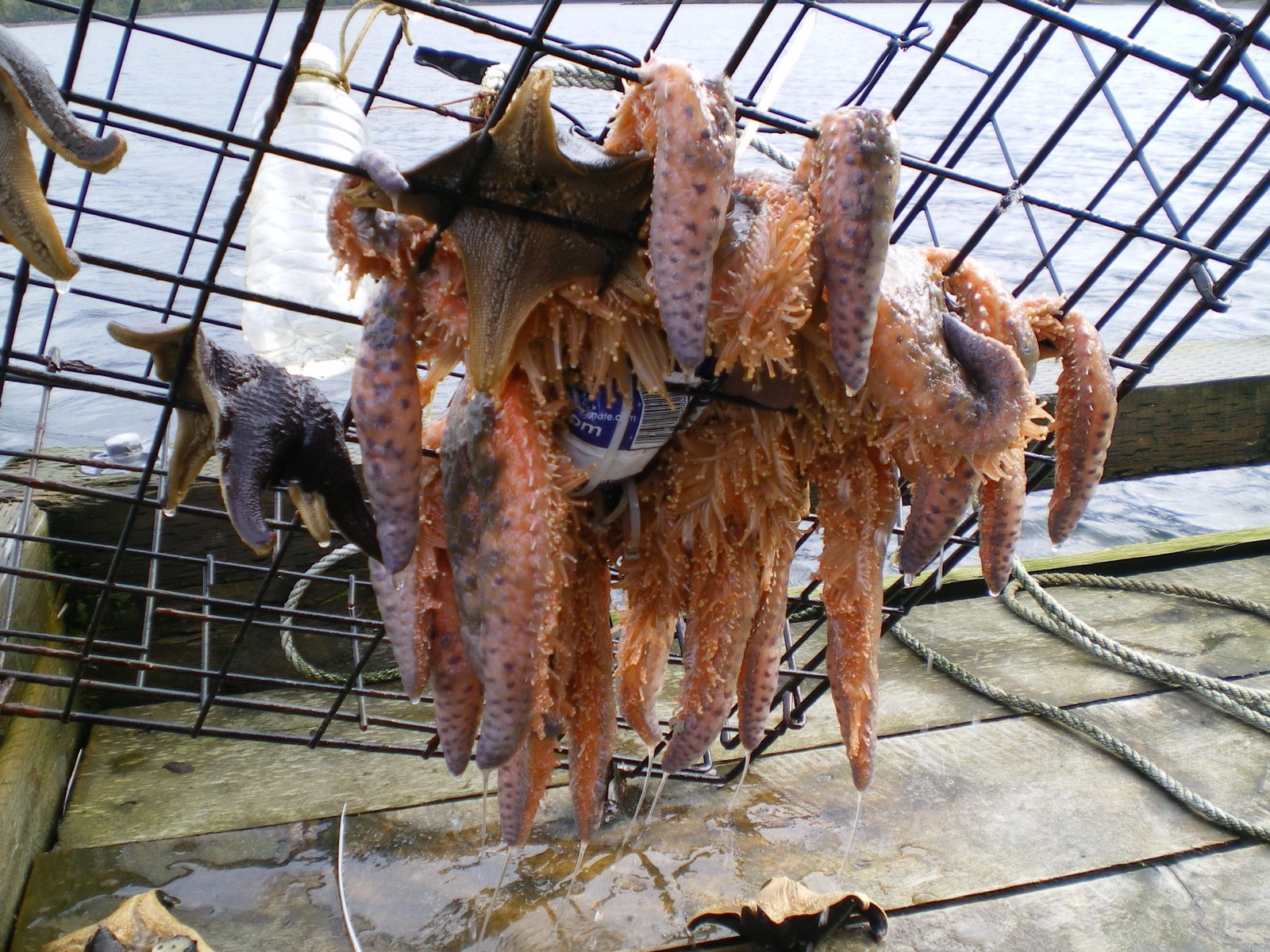 [IMGP0280.JPG]