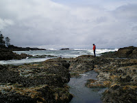 Ucluelet coastline