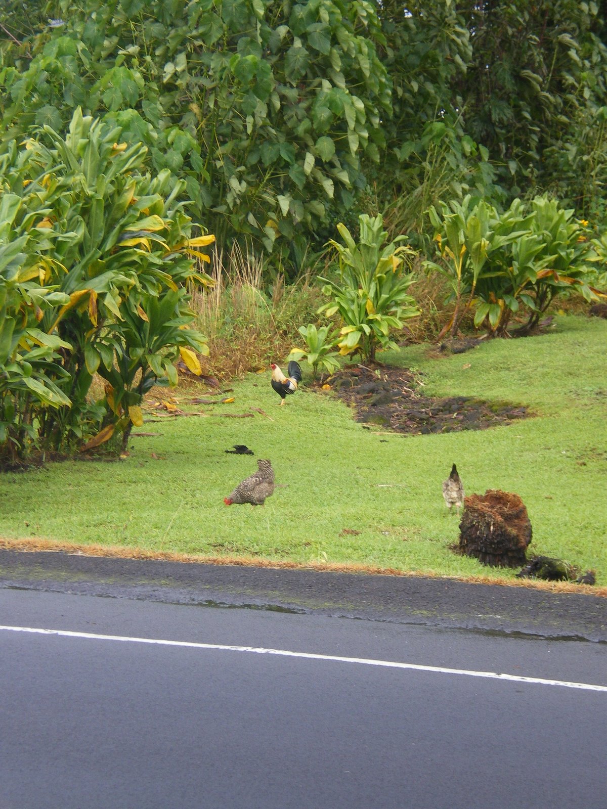 [IMGP1062.JPG]