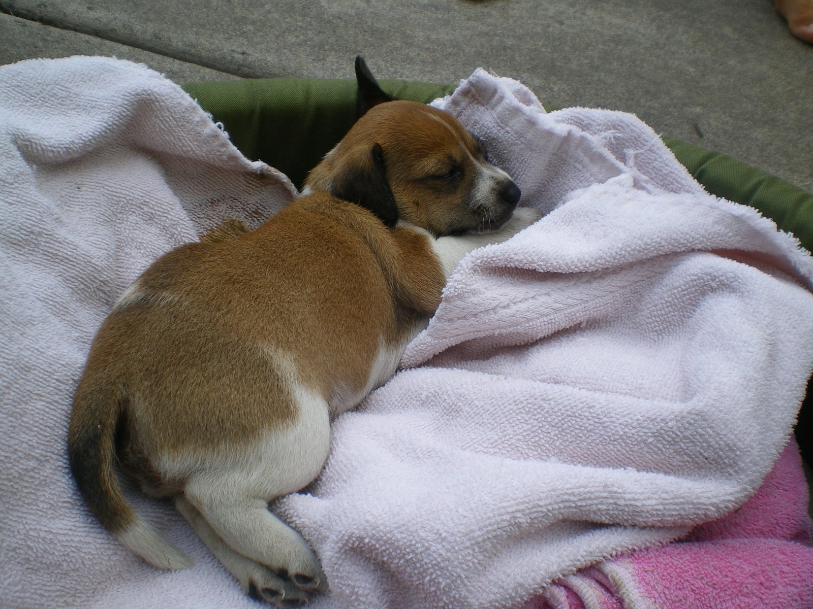 [IMGP1450.JPG]