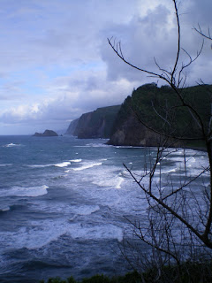 Hawaii Ocean with cliffs in the background
