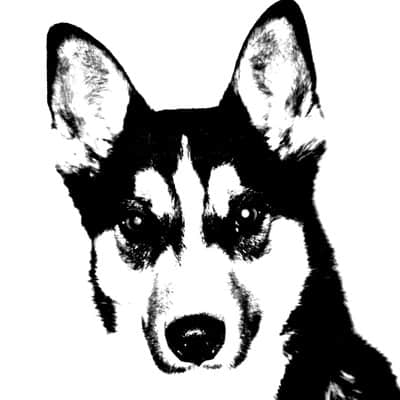 avatar for Kristyn Bacon, overland traveler