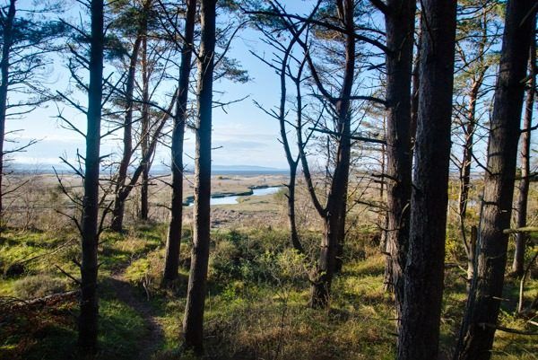 Nairn-10