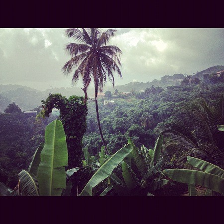 Grenada lush foliage