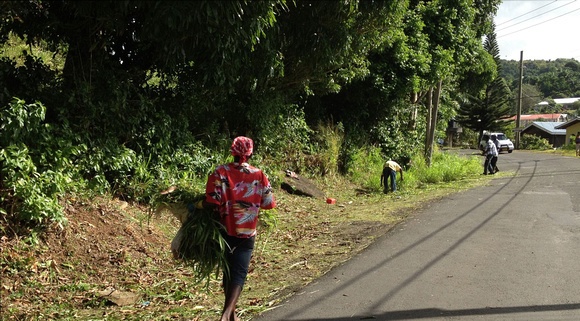 Grenada roadside maintenance