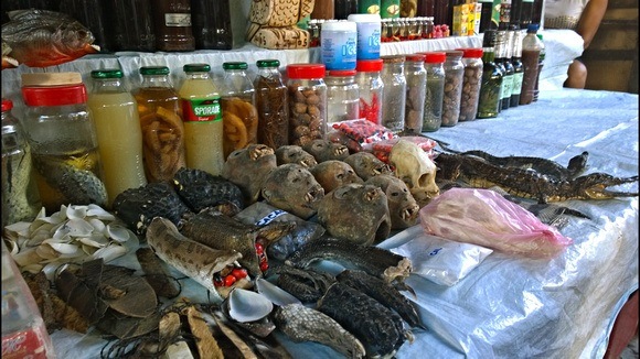 "Medicine Alley" in Belen market, with skulls and other totems and potions