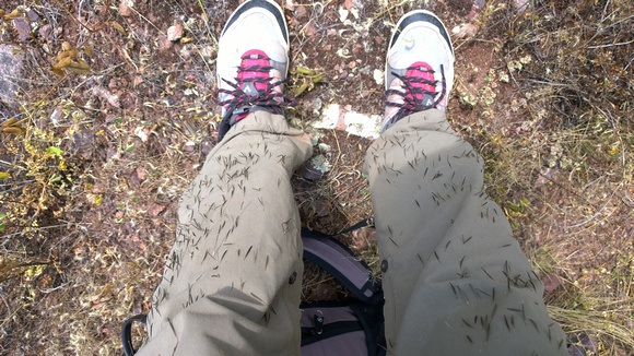 pants covered in cactus needles from my failed attempt to climb Apu Nusta in Peru