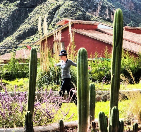 Peru, with san pedro