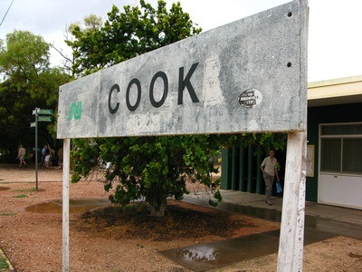 Cook