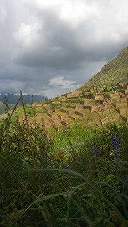 extensive inca terraces