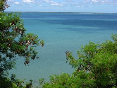 darwin heat