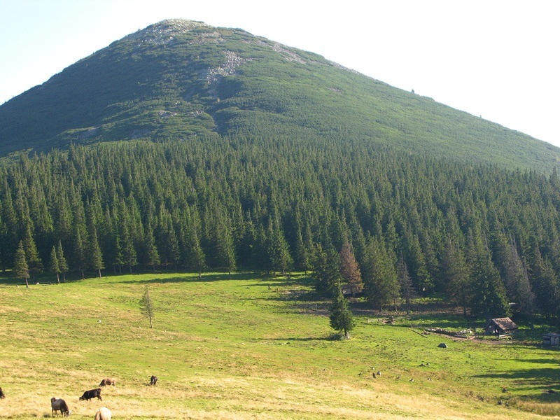 idyllic log cabin in the Carpathian mountains of Ukraine