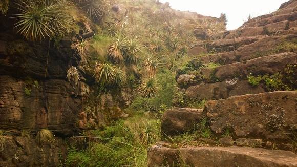 steep natural inca stairs 