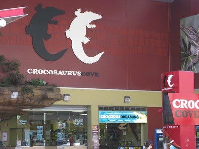 croc madness in Darwin