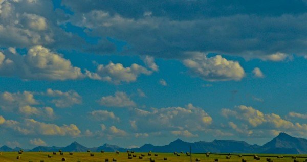 driving in Alberta
