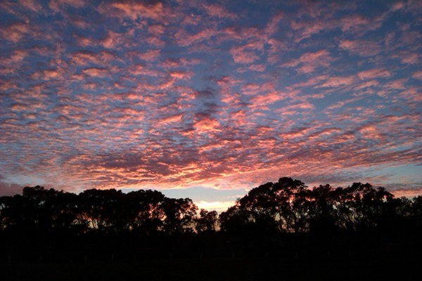 Sunset over the Farm